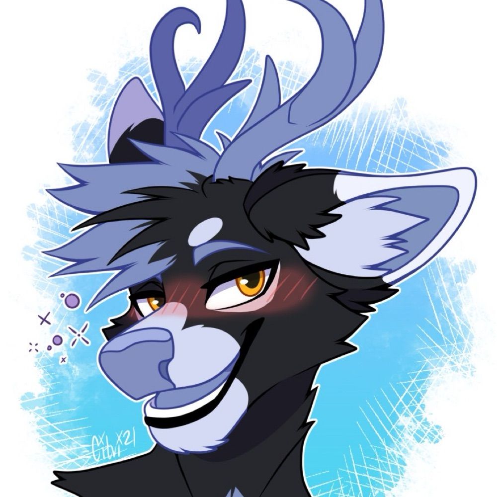 Breizh 🦌
