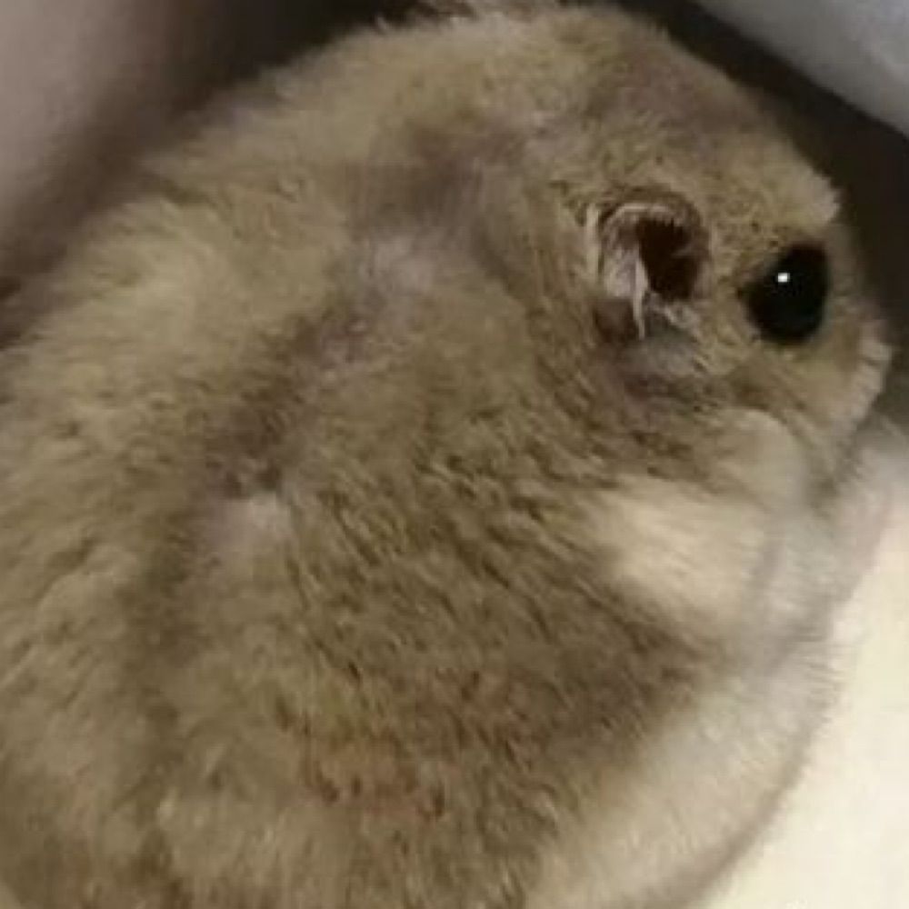 cin
