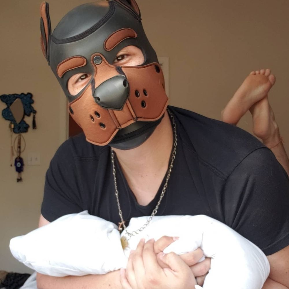 Pup Nova