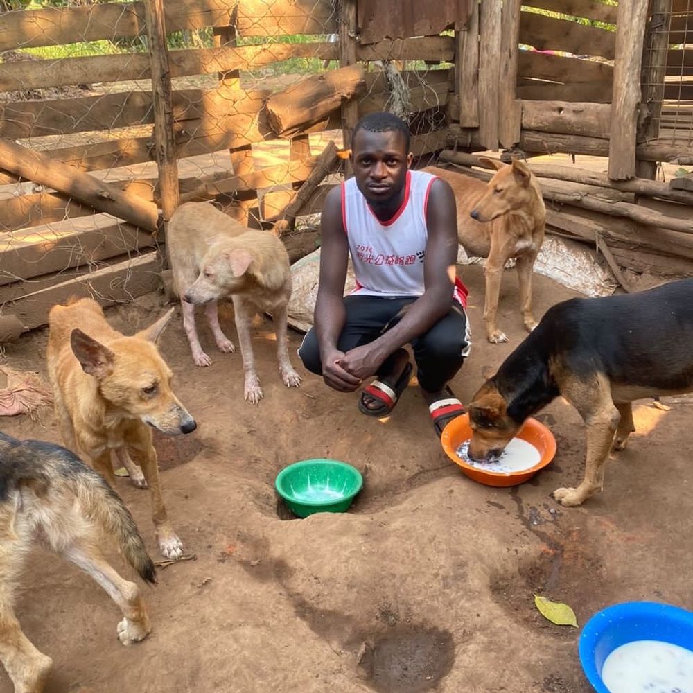 Haruna dog Shelter