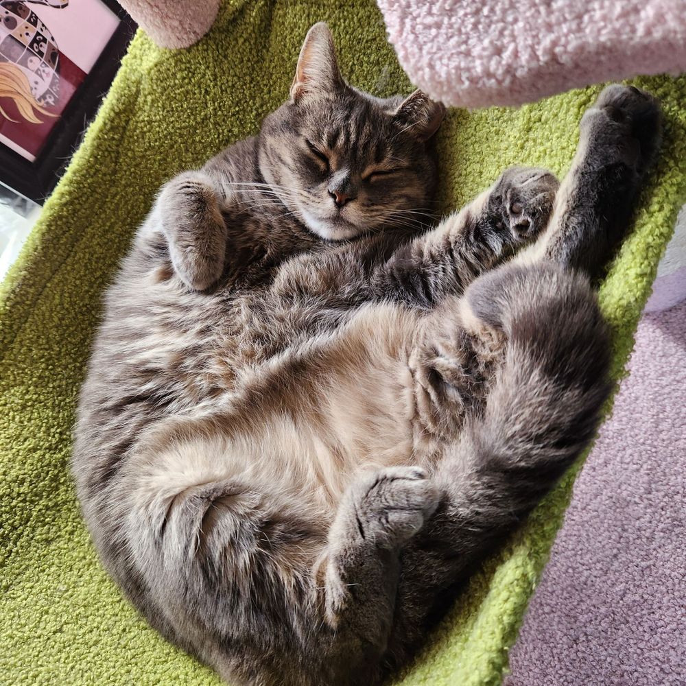 Grisette la Chatte