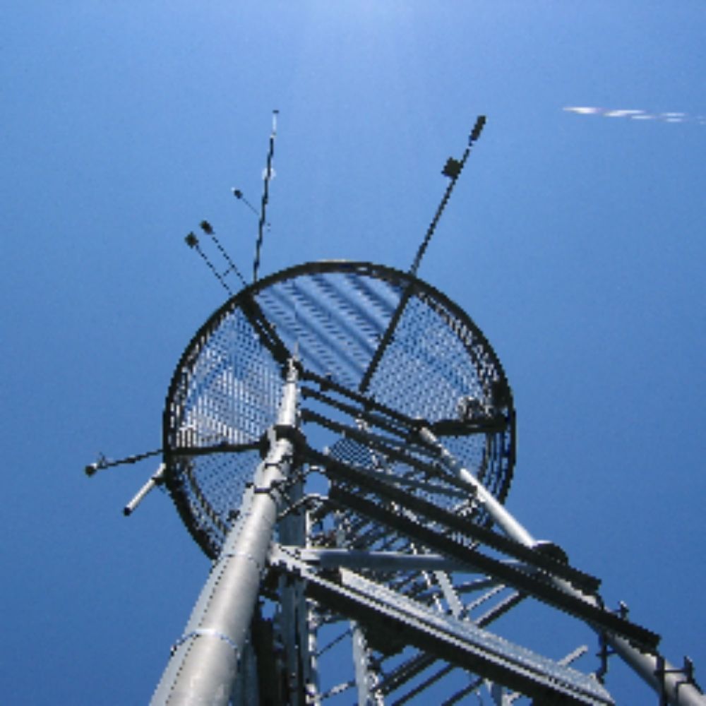 Barbeau forest research station