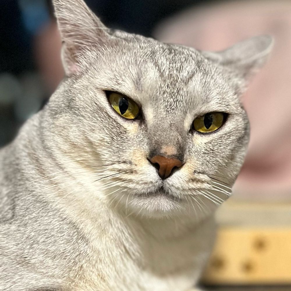 いわ