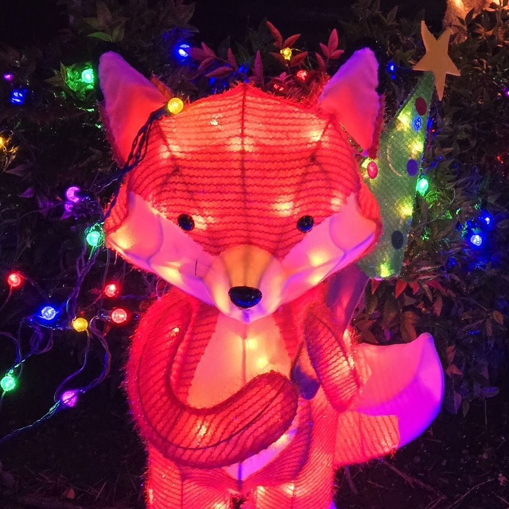 Bramlee Wood Holiday Displays