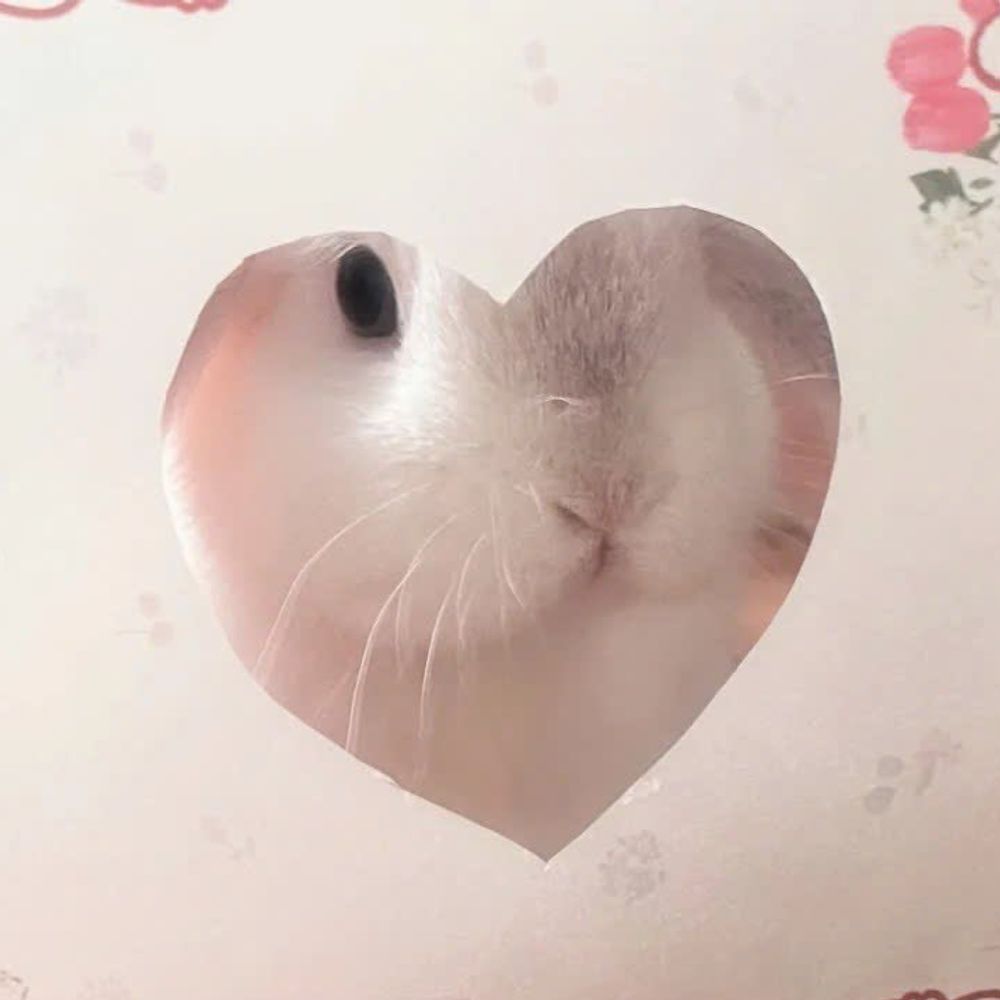ルミ