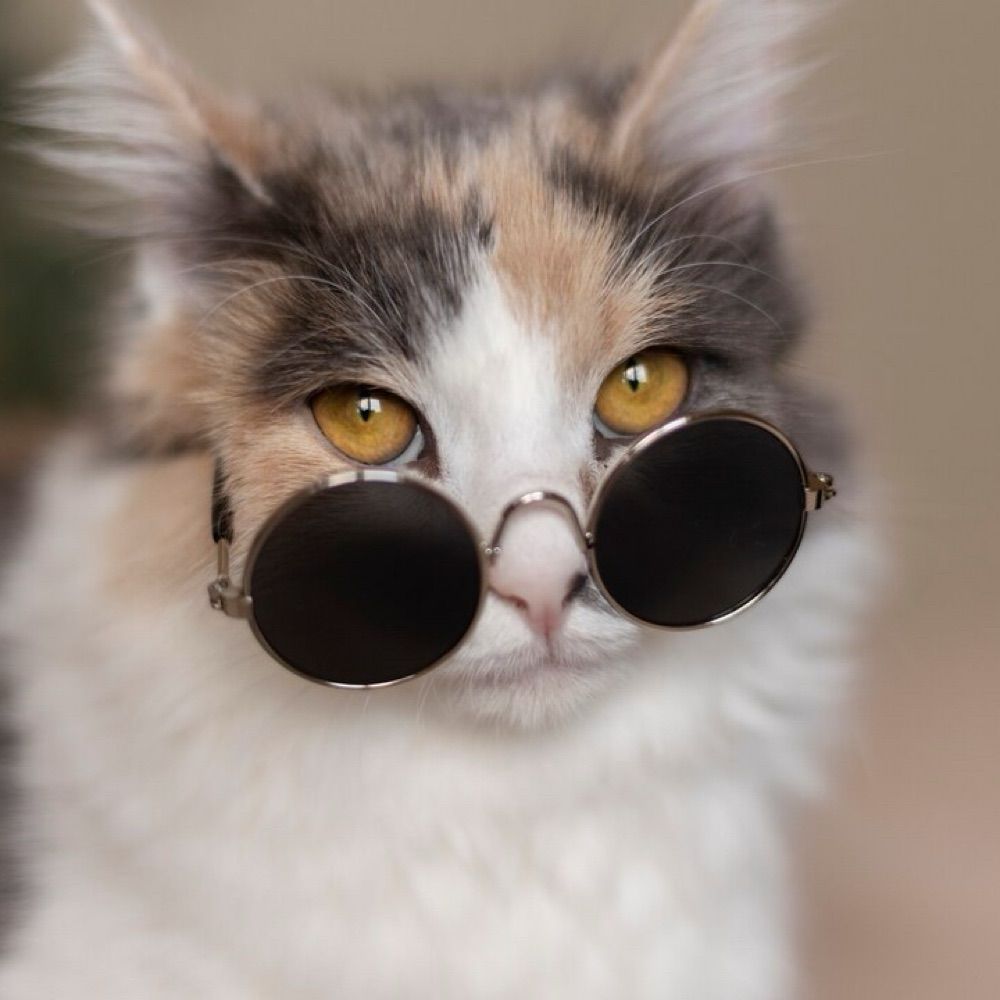Nan