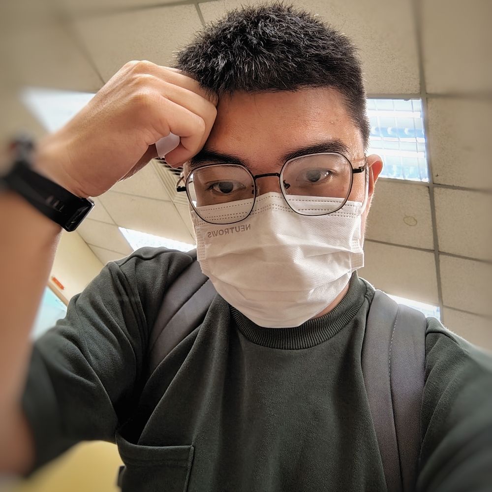 我就喜欢看看熊，小猪