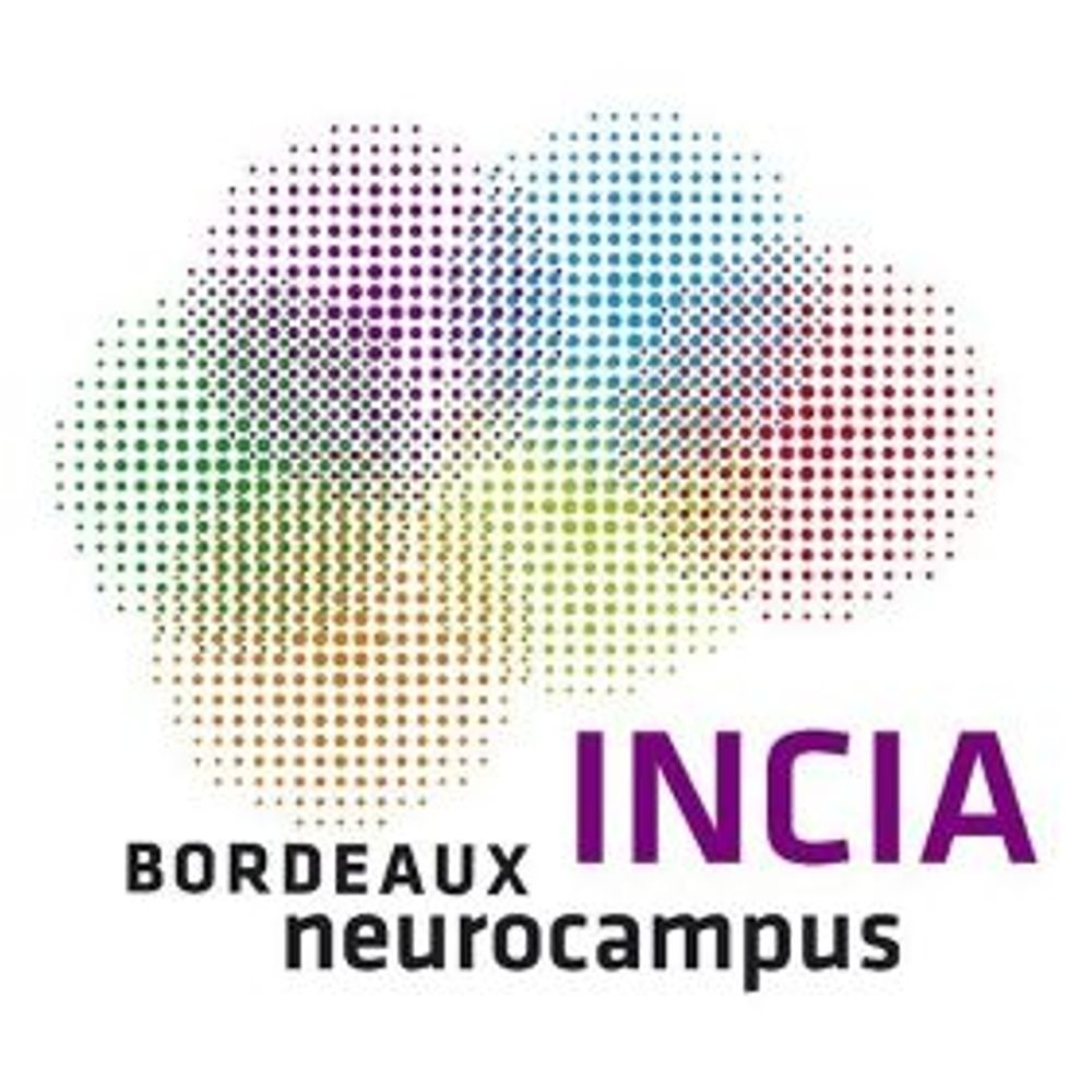 Institut de Neurosciences Cognitives et Intégratives d'Aquitaine
