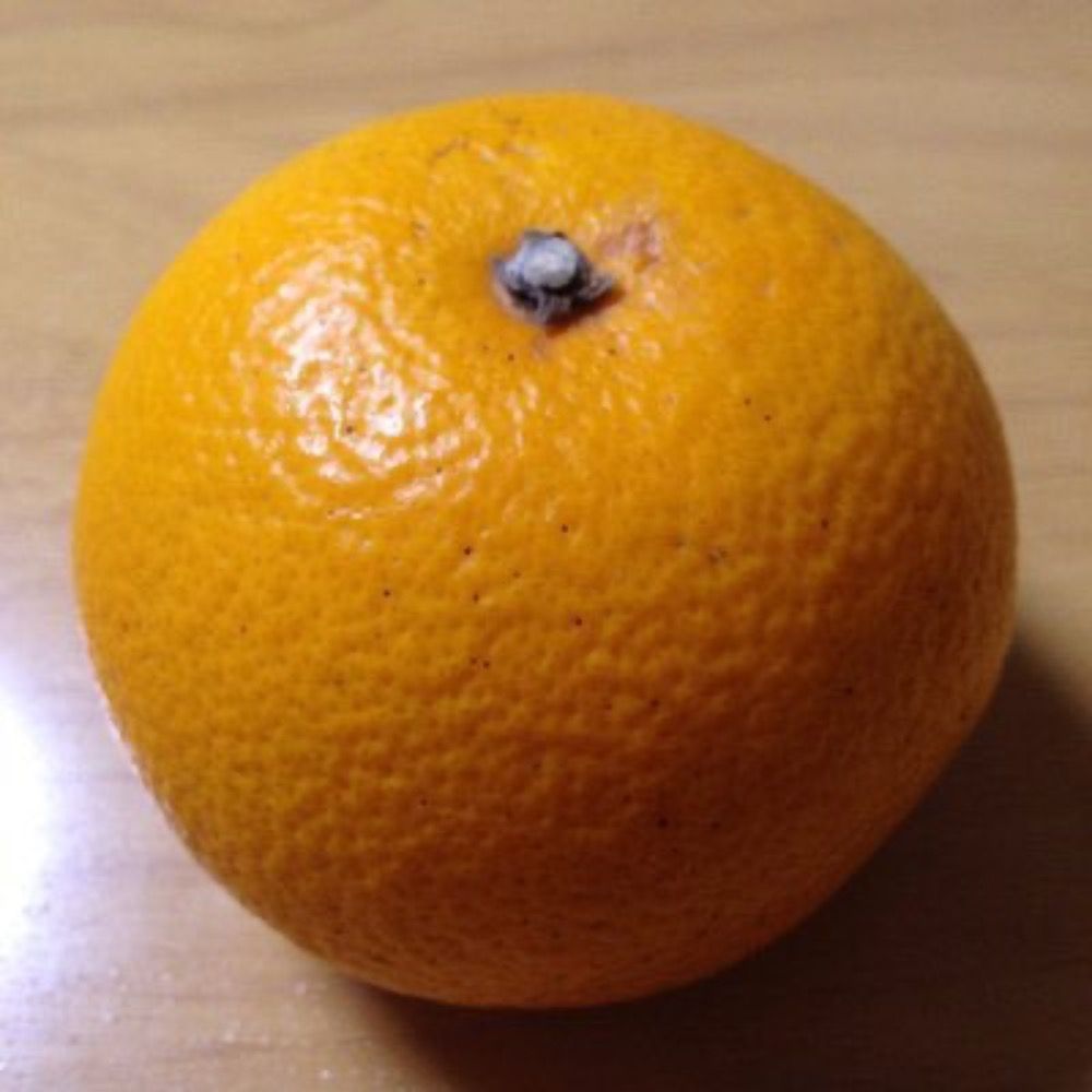 蜜柑飴