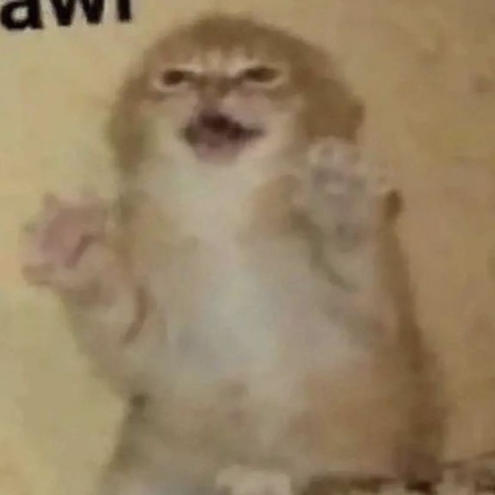 Bananakittycat