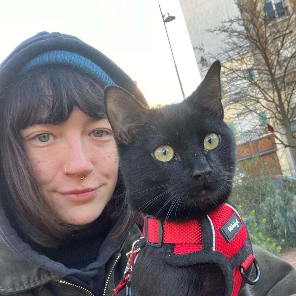 Phoebe Chetwynd