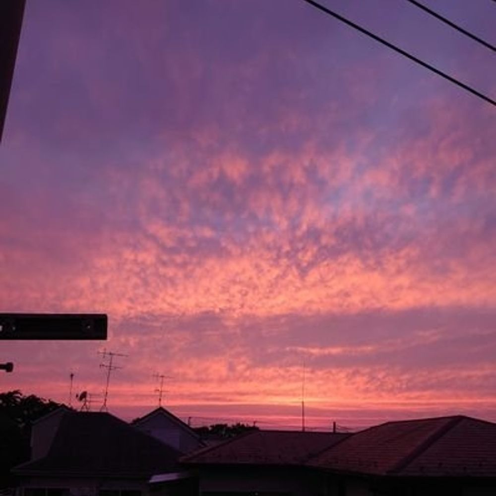 桜木 棗