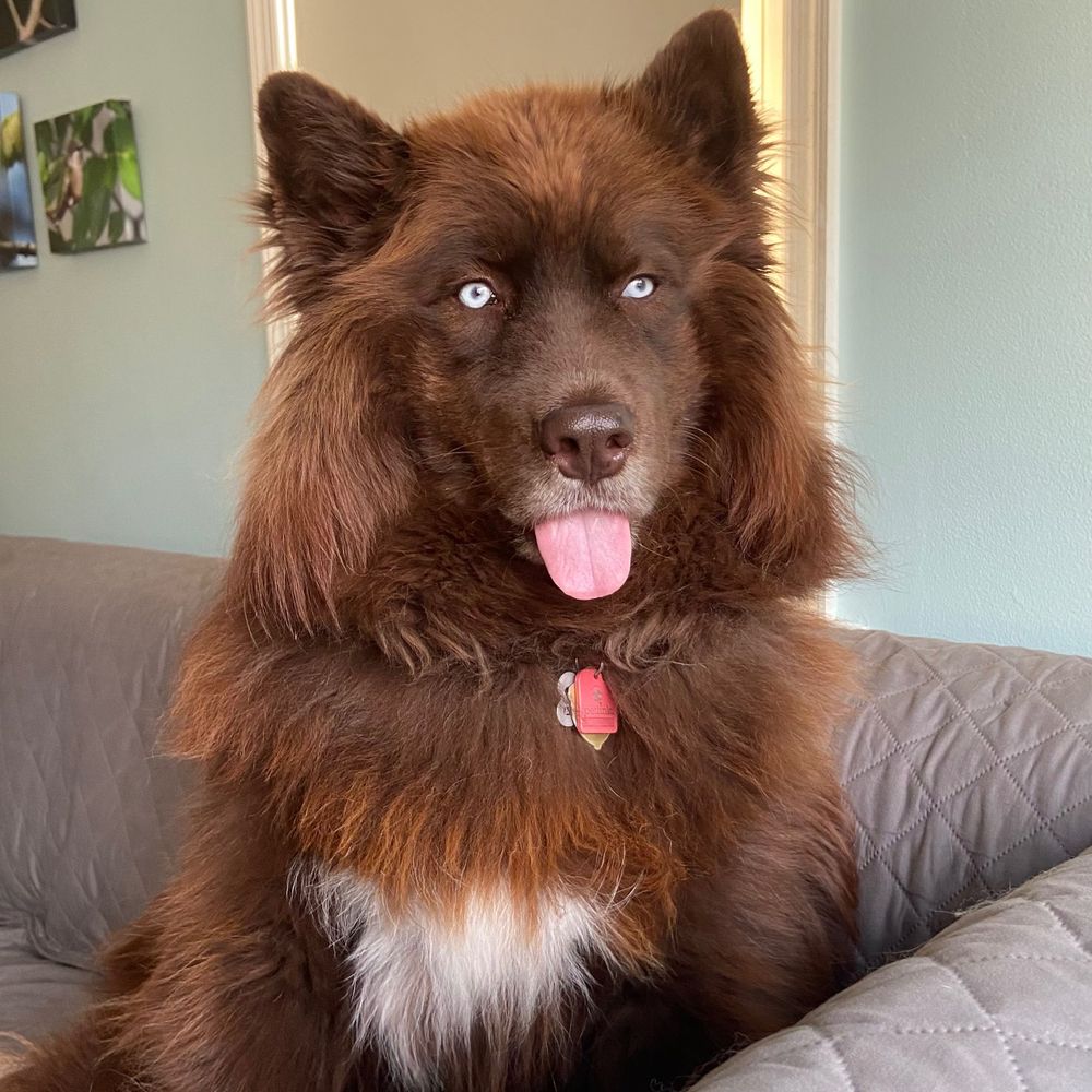 Kenai