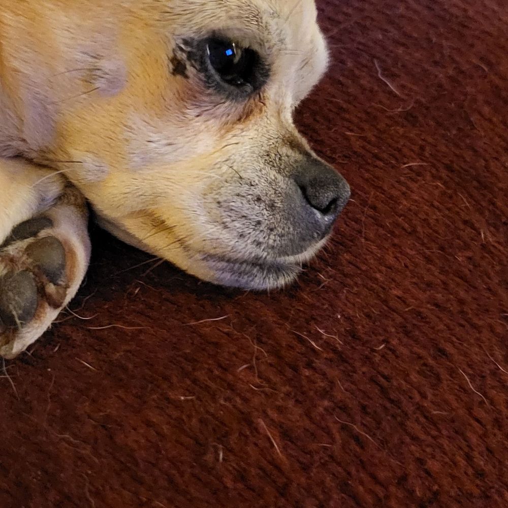 julieann48134.bsky.social