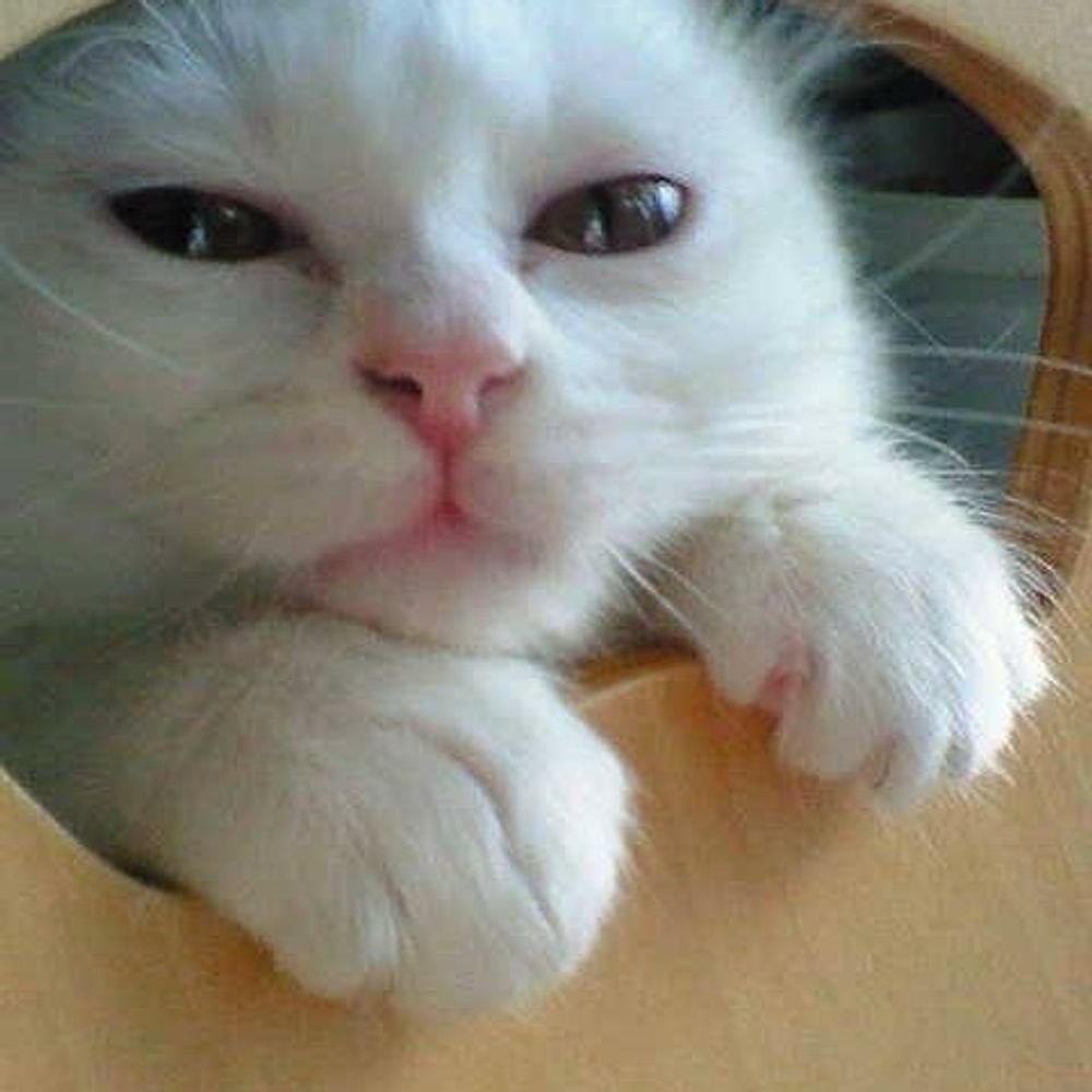 しし