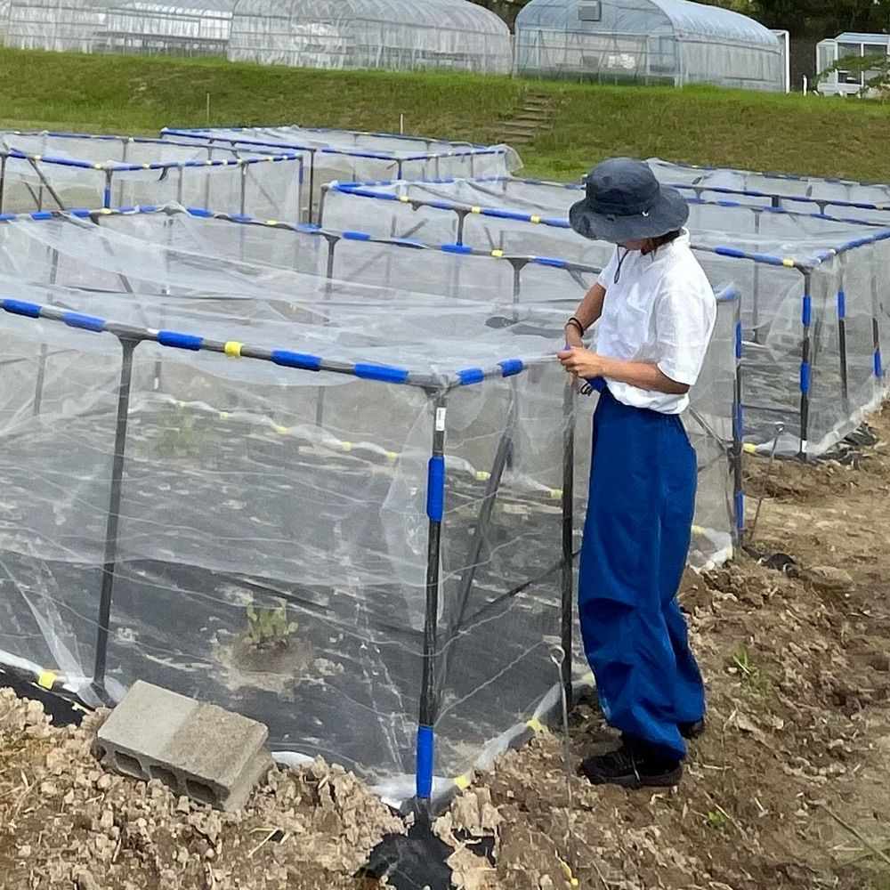 Haruna Ohsaki