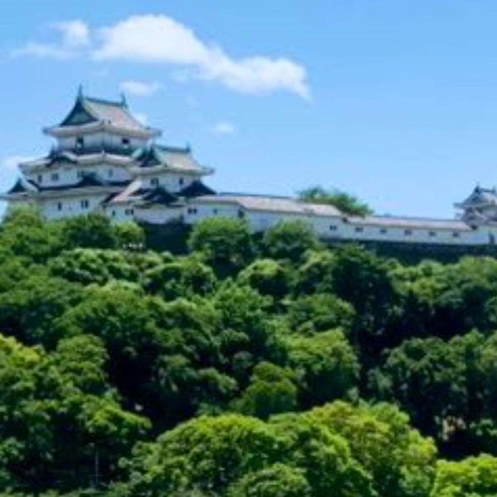 よこ。