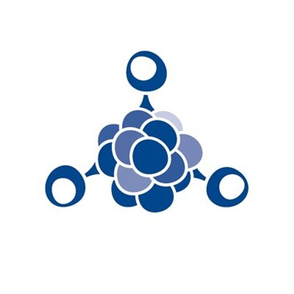 BSI Tumour Immunology Group