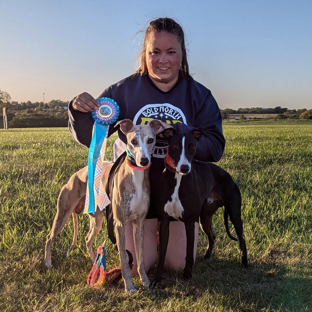 sophie + hounds
