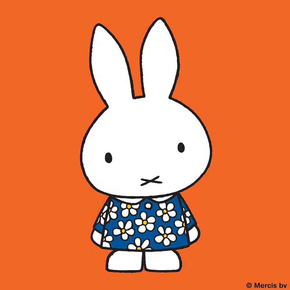 Miffysaurus 🐇🦖🇪🇺