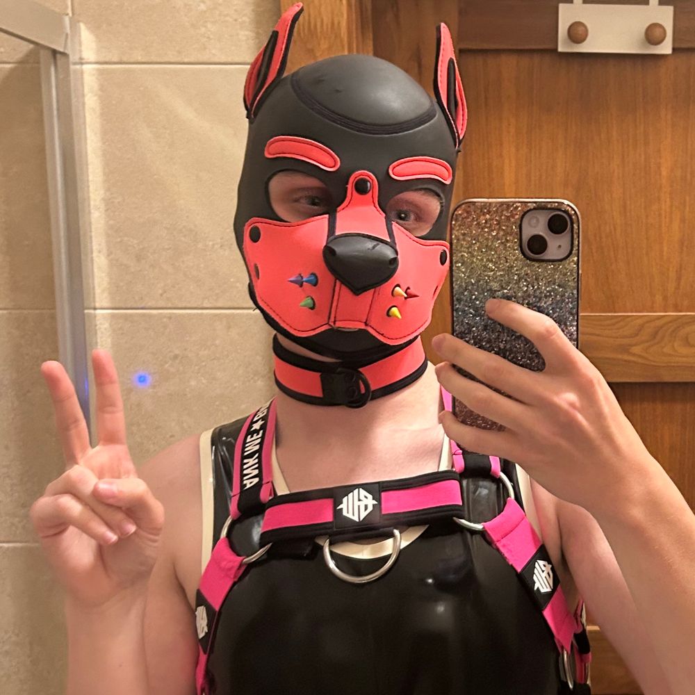 Pup Spark 🐾🇮🇪