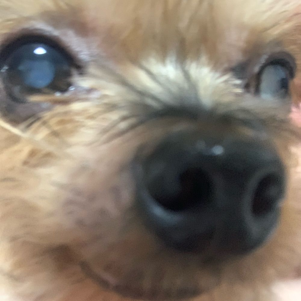 영채…..