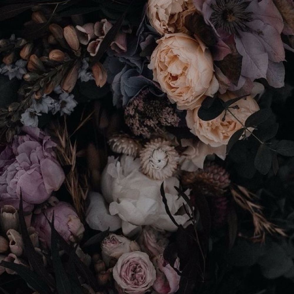 Black Rose
