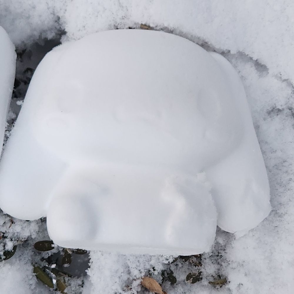 forest1213.bsky.social