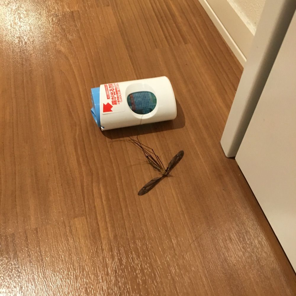 毒薬