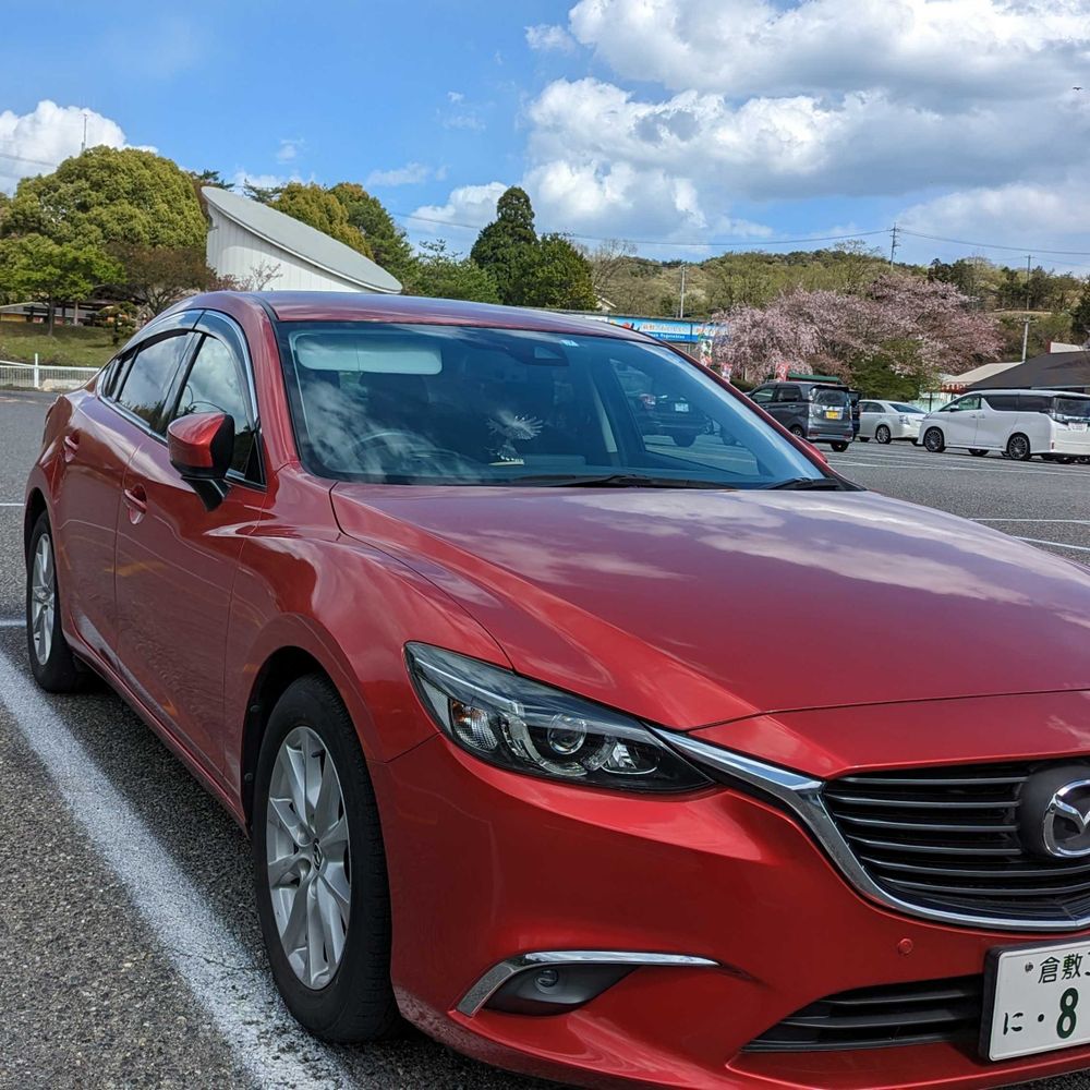 ラテ