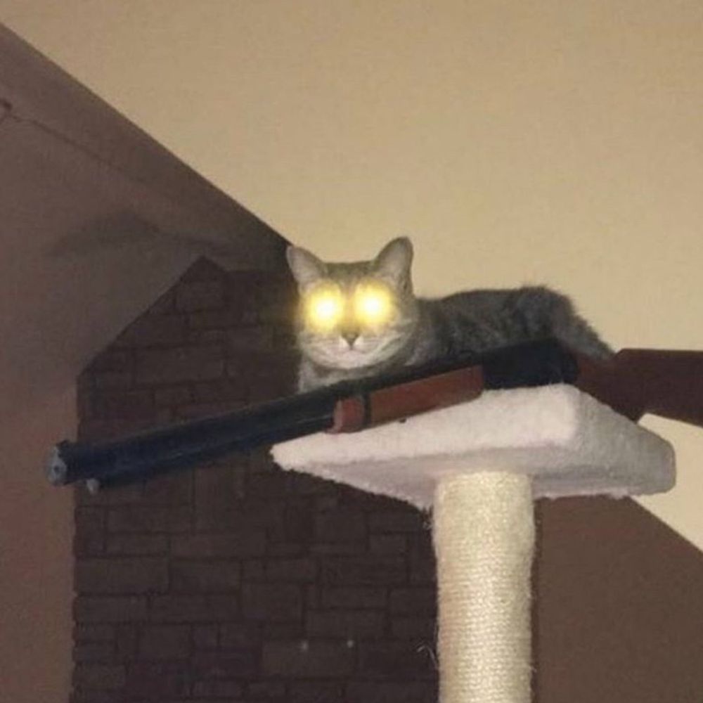 безусловный базовый кот