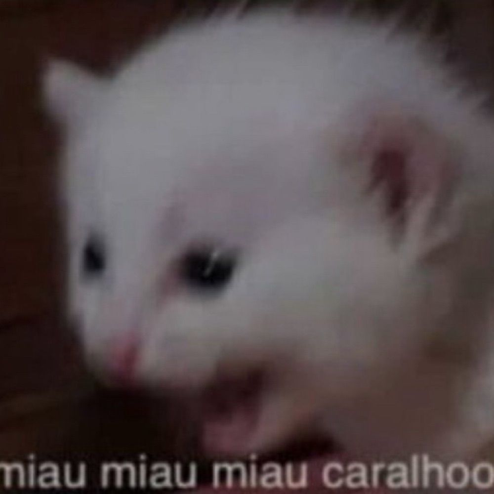 Sad&Brazilian