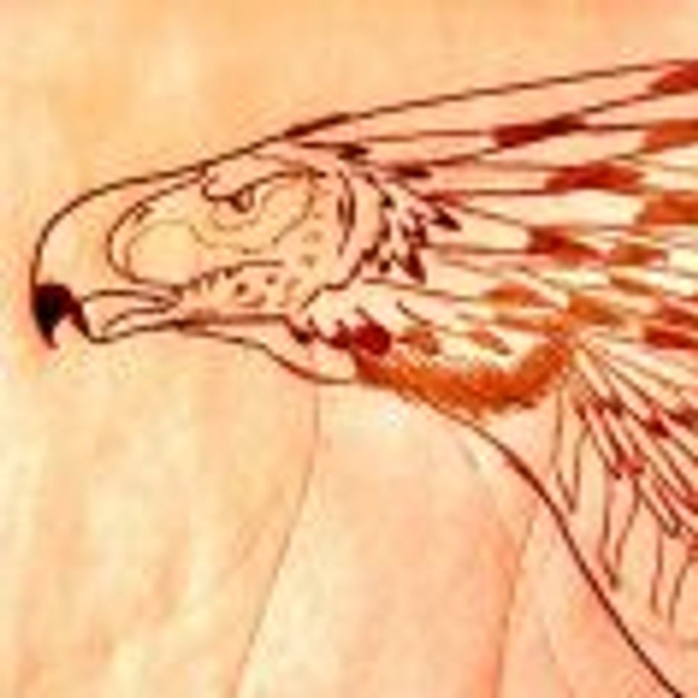 blazindragon.bsky.social profile picture
