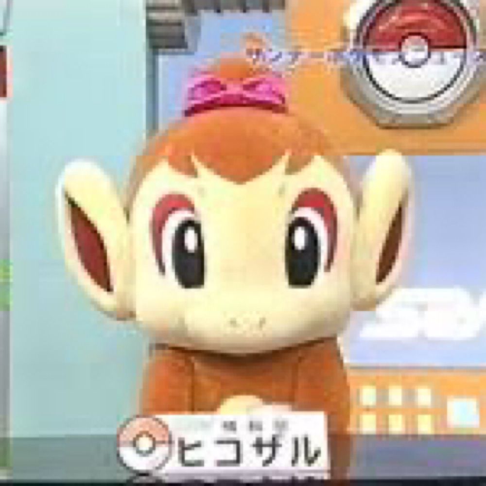 てまてこ
