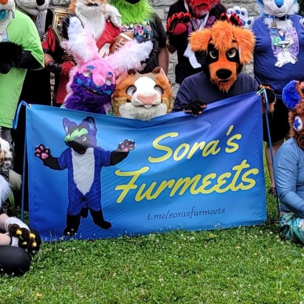 Sora's Furmeets