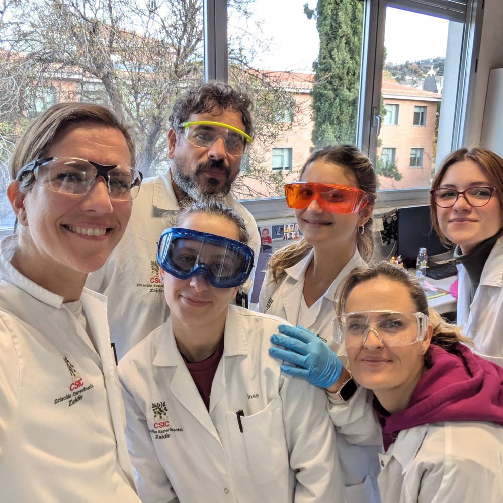 lab-316 EEZ, CSIC