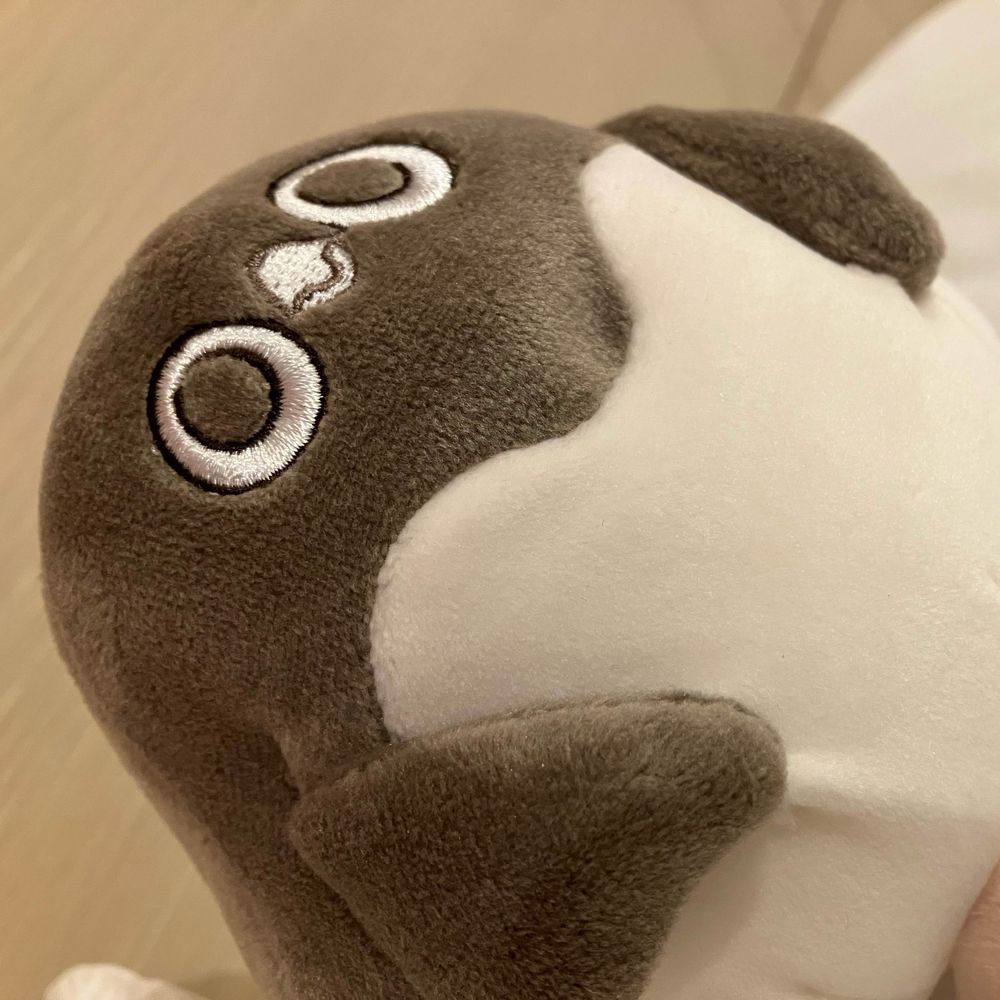 じじすけ ブルースカイのすがた