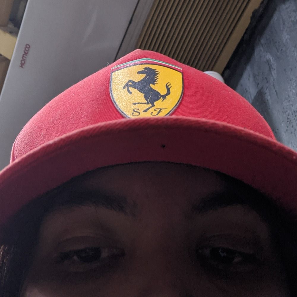 aleirbag