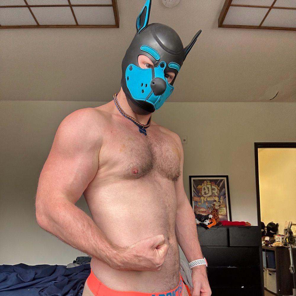 Pup Smash