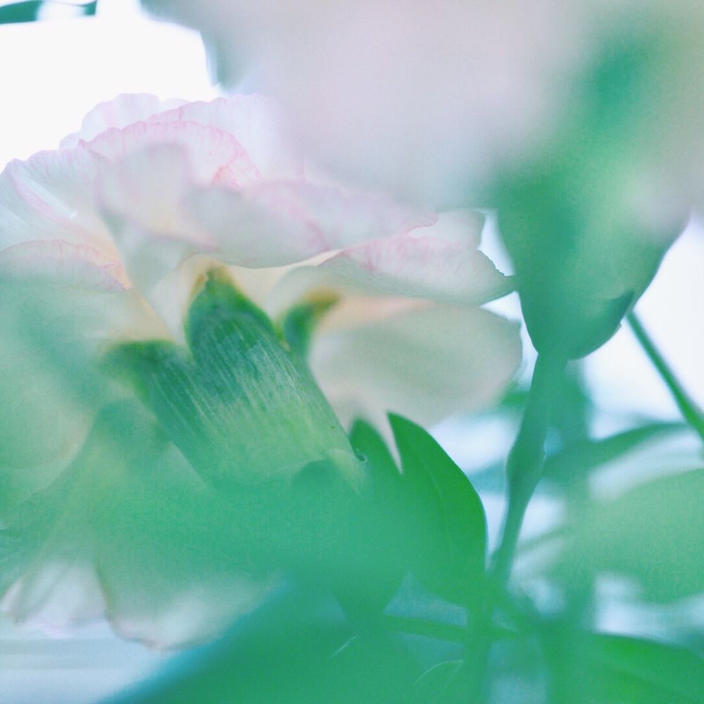 蒼井 翠