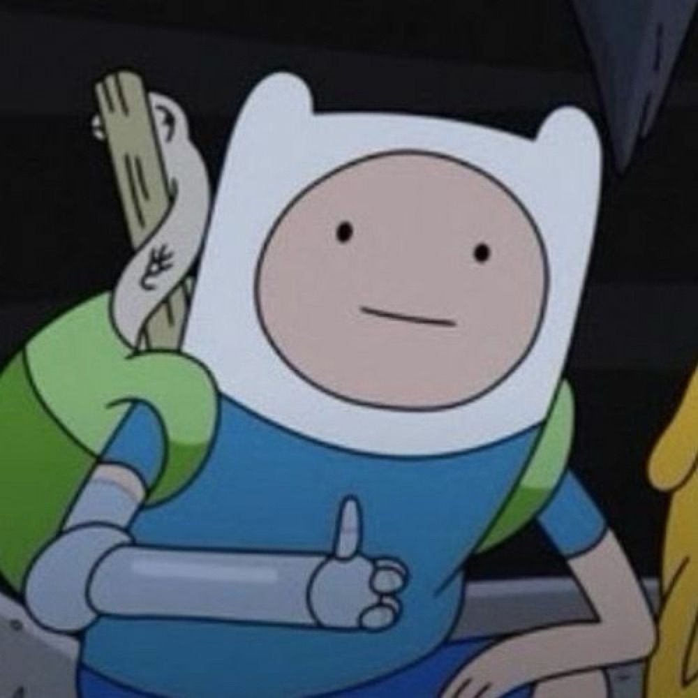 Finn the human