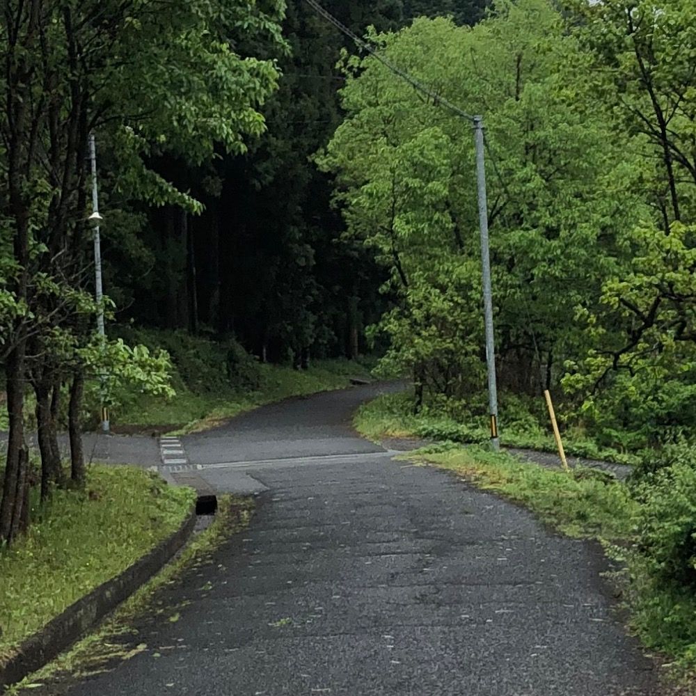 あだん