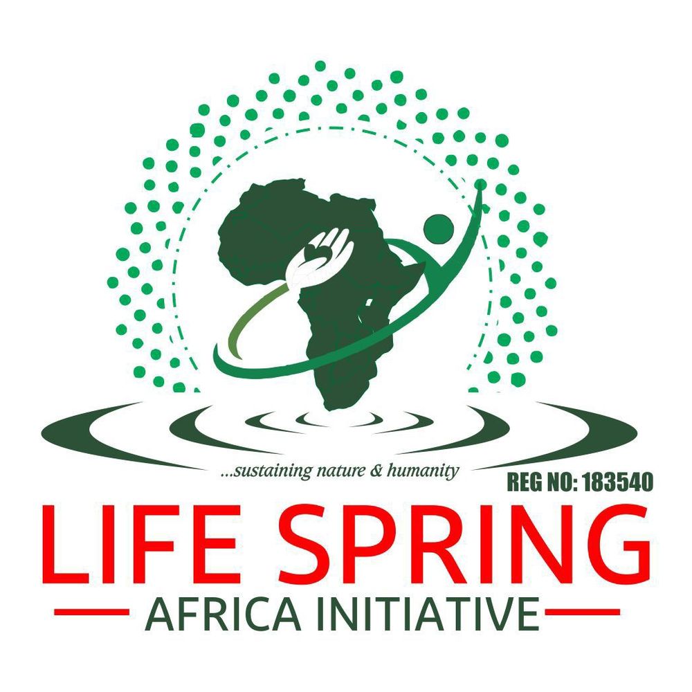 Life Spring Africa Initiative 's avatar