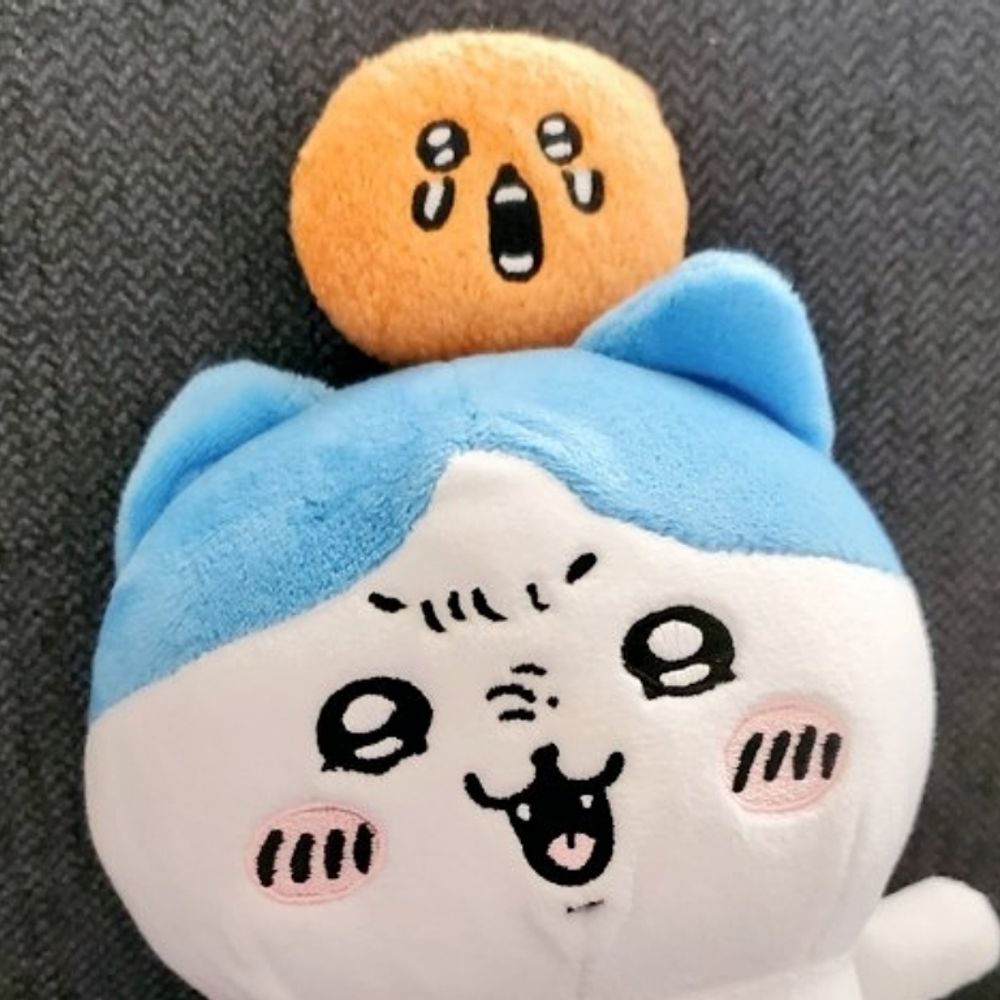 豪快ワレ