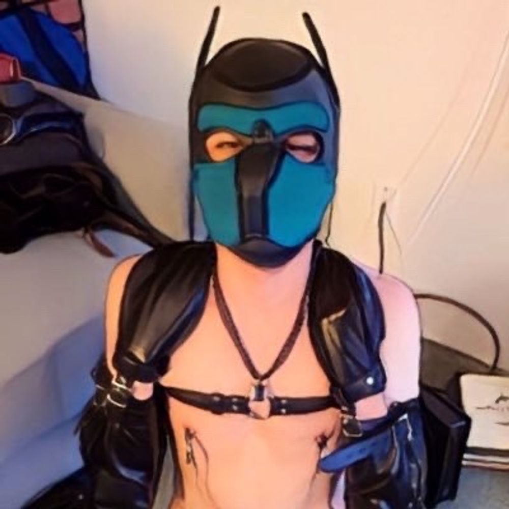 Pup Dox