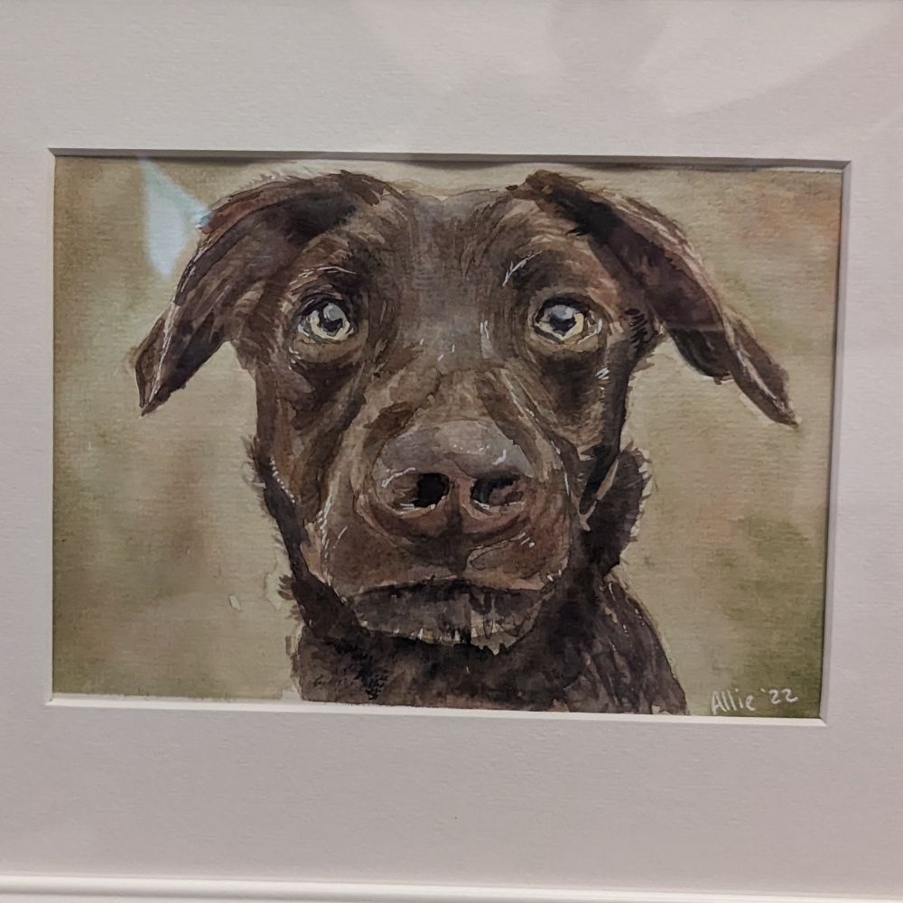 Alliesart