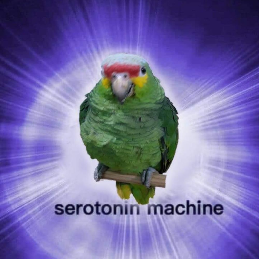 Dev