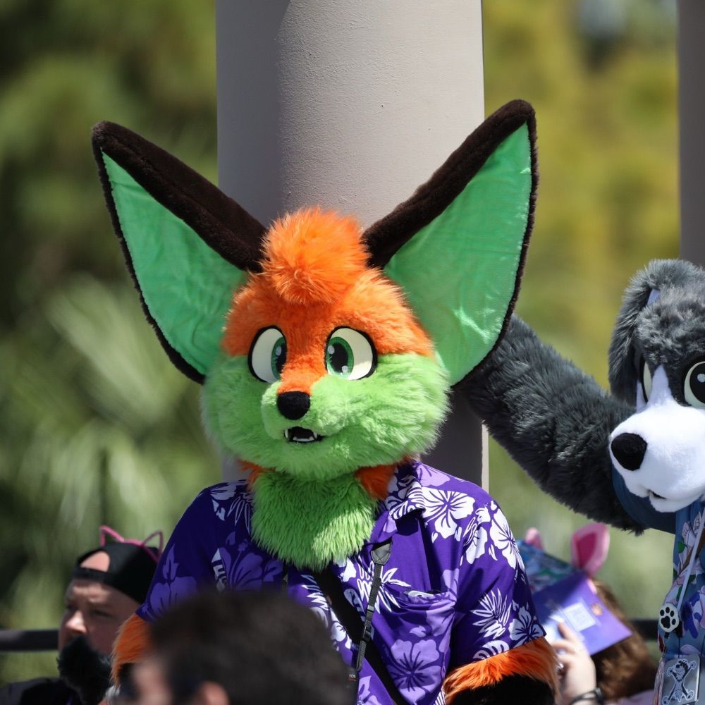 Calamity Fox
