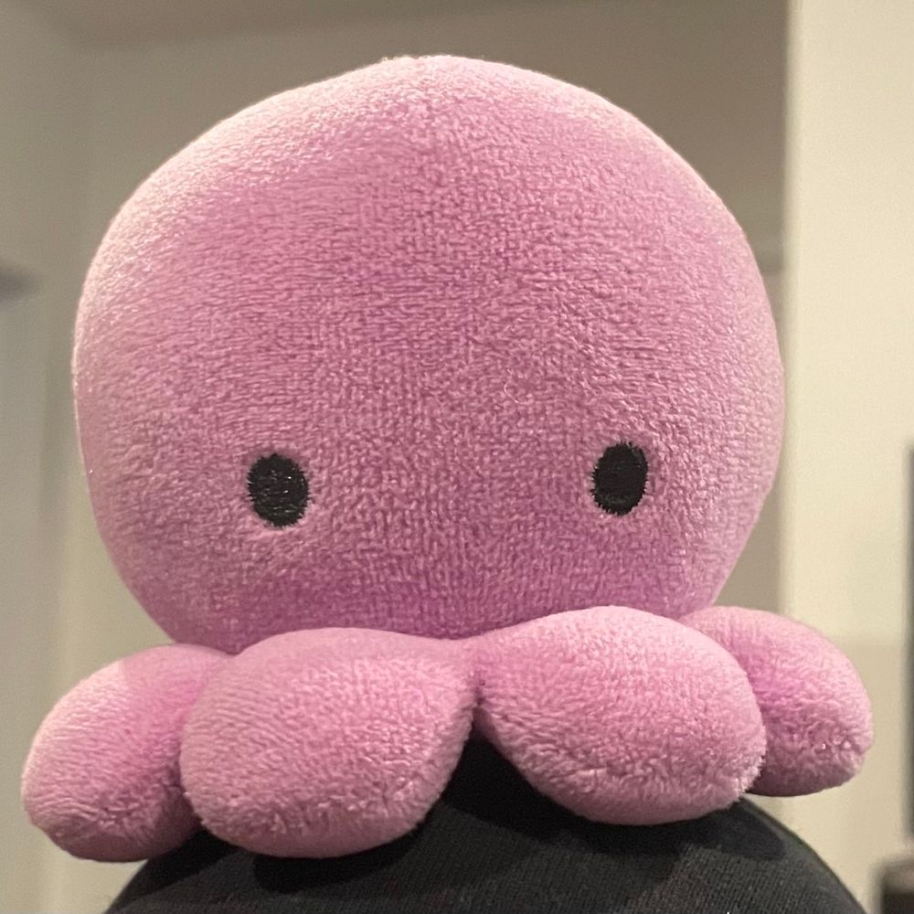 Squidlit Official