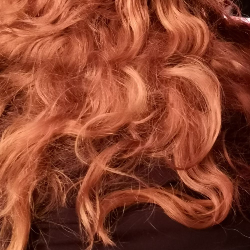 Curvie Lisa